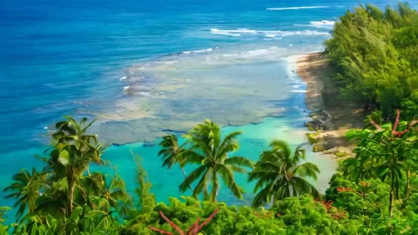 有名なケービーチ カウアイ島 ハワイ アメリカ合衆国のパノラマ ビュー — ストック動画