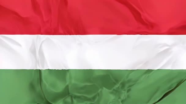 Bandera Nacional Hungría Ondeando Fondo — Vídeos de Stock