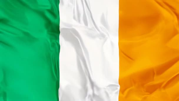 Drapeau National Irlandais Brandissant Arrière Plan — Video