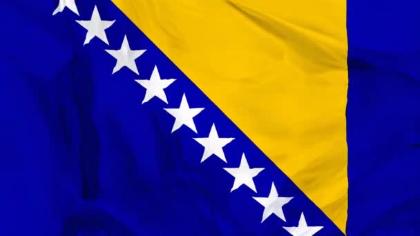 Nationale Bosnië Zwaaien Vlag Achtergrond — Stockvideo