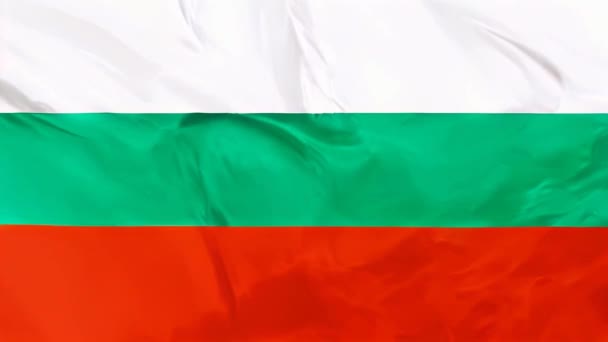 Bandera Nacional Bulgaria Ondeando Fondo — Vídeos de Stock
