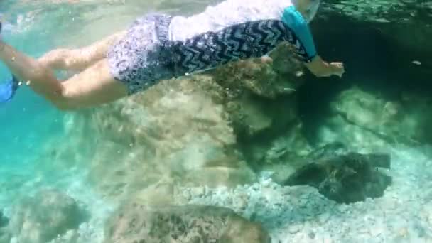 Pływak Bada Czyste Wody Pobliżu Dużej Formacji Skalnej Sansone Plaży — Wideo stockowe