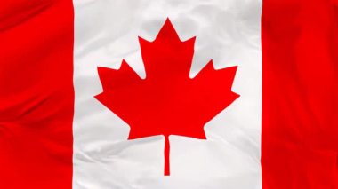 Beyaz arka plan illüstrasyon izole et kalınlığı ile yivli Kanada ulusal bayrağı.
