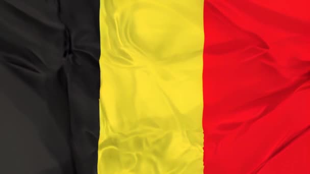 Ρεαλιστική Σατέν Υφή Της Βελγικής Σημαίας Που Αντιπροσωπεύει Την Εθνική — Αρχείο Βίντεο