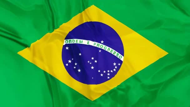Vibrante Bandera Brasileña Verde Amarilla Con Lema Mostrada Con Efecto — Vídeo de stock