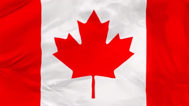Bandera Nacional Canadá Onduló Aislada Sobre Fondo Blanco Ilustración — Vídeos de Stock