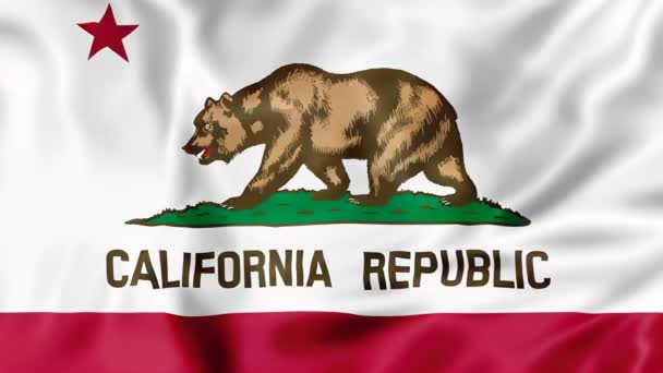 Ilustración Digital Icónica Bandera Del Estado California Con Oso Pardo — Vídeos de Stock