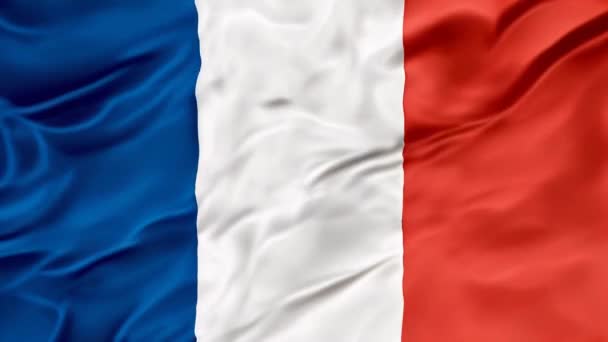优雅的丝绸质感 法国国旗与一个充满活力的浪潮 象征着民族自豪感 3D插图 — 图库视频影像