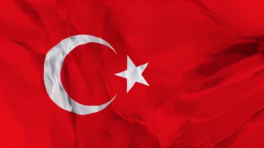 Vatansever gurur ve kimlik: rüzgarda dalgalanan hindinin canlı, dalgalı bayrağı. 3B illüstrasyon