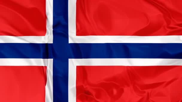 ノルウェーの民族的プライドの愛国的な祝賀 独立と文化的アイデンティティを象徴するスカンジナビアの十字架を持つ波状の赤 白の旗 3Dイラスト — ストック動画