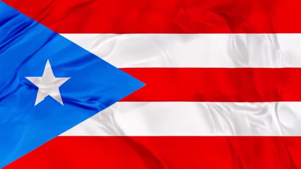 Imagen Vibrante Bandera Puertorriqueña Ondeando Viento Ilustración — Vídeos de Stock