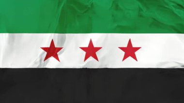 Suriye bağımsızlık Ulusal Koalisyon bayrak, sakinleştirmek izole üzerinde beyaz arka plan illüstrasyon. Suriye Ulusal Koalisyon ve Suriye geçici hükümeti tarafından kullanılan.