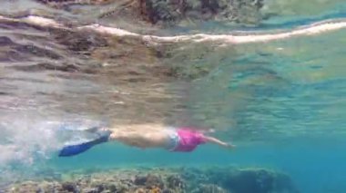 Ürdün, Akabe 'nin el değmemiş sularında beyaz saksıda bir kirpi balığıyla mercan resiflerinde yüzen bir kadın. Beyaz lekeli kirpi: Arothron hispidus türü