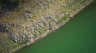 Griffon akbabası Sırbistan 'ın Uvac özel doğa rezervindeki Uvac kanyonu üzerinde uçuyor. Kanyon kıvrımlı nehriyle tanınır ve büyük bir griffon akbaba nüfusuna ev sahipliği yapar.
