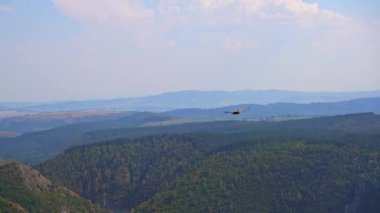 Görkemli griffon akbabası, Sırbistan 'daki nefes kesici Uvac kanyonunun üzerindeki çarpıcı gökyüzünde zarifçe süzülerek koruma amaçlı bir ortamda güç ve özgürlüğü simgeliyor.