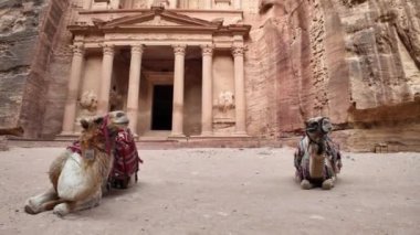 Ürdün 'de Petras Hazinesi önünde dinlenen iki deve, Kum taşı cephesi ve korint sütunlarıyla Ürdün arkeolojik sahasının ünlü simgesi.