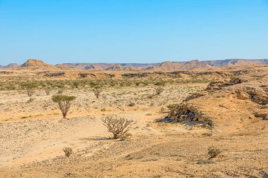 Umman 'daki Wadi Dawkah Doğal Parkı' nın büyüleyici manzarasının AERIAL görüntüsü, UNESCO Dünya Mirası Bölgesi olarak adlandırılan Frankincense Ağaç Korulukları 'nın büyüleyici güzelliğini yakalıyor.