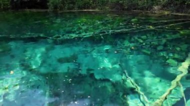 Kara Drin 'in kristal berrak turkuaz suyuna yansıyan güneş ışığı Makedonya' nın kuzeyindeki Ohri gölünde yaylanıyor ve büyüleyici bir ışık ve gölge manzarası yaratıyor.