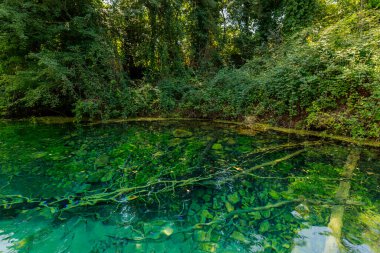 Kara Drin 'in kristal berrak turkuaz suyuna yansıyan güneş ışığı Makedonya' nın kuzeyindeki Ohri gölünde yaylanıyor ve büyüleyici bir ışık ve gölge manzarası yaratıyor.