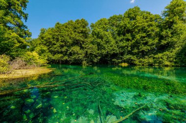 Kuzey Makedonya 'daki Ohri Gölü' nde huzur veren Kara Drin, yaz güneşinde zengin yeşilliklerle çevrili cam sularda yüzmek için tahta bir kürek kullanıyor.