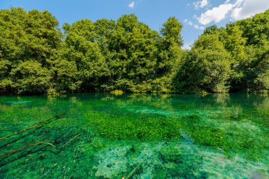 Karadeniz Ohri Gölü, Kuzey Makedonya 'da, kristal berraklığında sularla çevrili, canlı yeşillik ve ışıl ışıl yaz gökyüzü altındaki cazibeyle doludur.