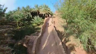 Havadan bakıldığında, Alula vahasının antik tarlaları boyunca yürüyen bir turist görülüyor. Palmiye ağaçları, meyve bitkileri ve Suudi Arabistan 'daki ikonik kayalarla çevrili.