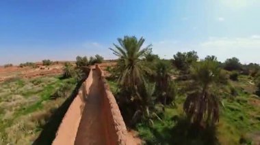 Suudi Arabistan 'da tarihi bir yer olan Shaqra Heritage Village' ı çevreleyen sulama kanalı ve yemyeşil bitki örtüsü üzerindeki hava aracı görüşü, çöl manzarasında canlı bir vaha yaratıyor..