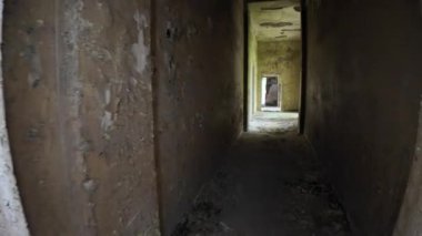 Yeşillik, kırık camları aşarak terk edilmiş Savane Oteli 'nin çürüyen iç mekanını geri aldı. Gürcistan Sovyet geçmişinin unutulmaz bir kalıntısı.