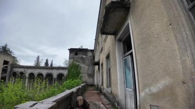 Georgia, Tskaltubo 'daki terk edilmiş Medea Sanatoryumu' nun çürüyen balkonunda gezinen uzun saçlı köpek zamanın etkilerini ve ihmalkarlığını gözler önüne seriyor.