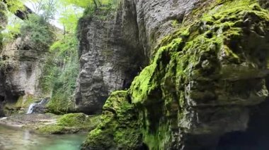 Gürcistan 'daki Martvili Kanyonu' nda canlı yeşil yosunlarla kaplanmış ve kanyon boyunca akan temiz suyla Abasha Nehri boyunca pitoresk bir manzara yaratan çarpıcı kaya oluşumları yer alıyor.