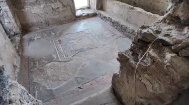 Kısmen korunmuş Roma mozaiğinde, Garni, Ermenistan arkeolojik kompleksindeki bir banyonun zeminini dekore eden deniz yaşamı zengin tarihi ve kültürel mirası gözler önüne seriliyor.