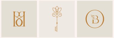 Vektör tasarımı doğrusal anahtar, el ve beslenme logoları modaya uygun en az doğrusal şekilde şablonlar. Göksel ve büyülü soyut küme.