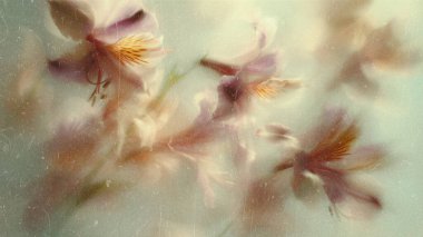 Soyut çiçek arkaplanı, sarı çiçekler ilkbahar, yaz mevsimi çiçek açan mahsuller