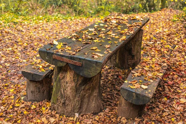 森林里有一张木制桌子和一张木制长椅 上面覆盖着落叶 秋天的风景金秋森林背景 高质量的照片 — 图库照片
