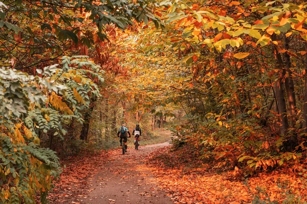 Dva Cyklisté Lesní Cestě Podzimní Krajina Zlaté Listí Sportovní Aktivita Stock Obrázky