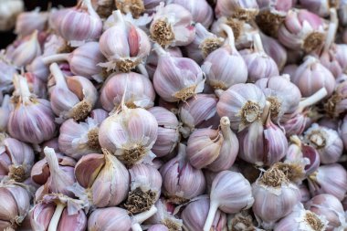 Garlic heads close up. Street food market. Source of vitamin C. Alternative medicine. High quality photo