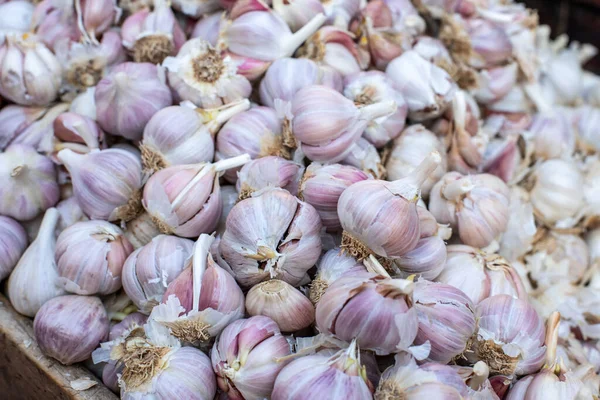 Garlic Heads Close Street Food Market Alternative Medicine Source Vitamin Stockbild
