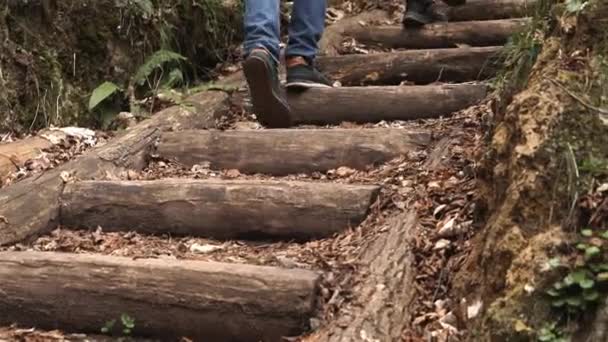 Dois Homens Sobem Escadas Madeira Subir Montanha Vista Inferior Conceito — Vídeo de Stock