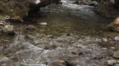 Dağlardan akan dere. Saf dağ suyu. Ağır çekim. Yüksek kaliteli FullHD görüntüler