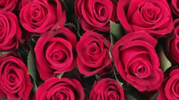 Фон Голів Червоних Троянд Крупним Планом Вид Зверху Високоякісні Кадри — стокове відео