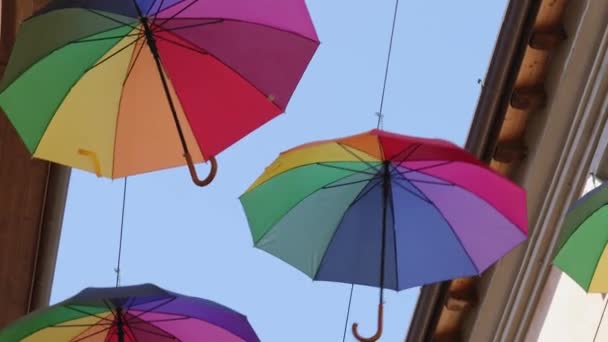 Rainbow Paraplyer Blå Himmel Bakgrund Många Färgglada Paraplyer Gatudekoration För — Stockvideo