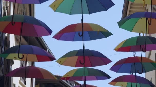 Umbrele Curcubeului Fundal Albastru Multe Umbrele Colorate Decorațiuni Stradale Pentru — Videoclip de stoc