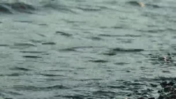 Θαλασσινά Κύματα Παραλία Βότσαλα Ηλιοβασίλεμα Κοντινό Πλάνο Υψηλής Ποιότητας Πλάνα — Αρχείο Βίντεο