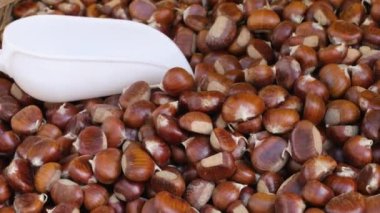 Olgun kestaneler yakın çekim. Tatlı çiğ kestane. Kabuklu kestane. Organik yiyecekler. Yemek arkaplanı. Sağlıklı beslenme. Sağlıklı bir yaşam tarzı. Protein kaynağı. Yukarıdan bak. Yüksek kalite 4k görüntü