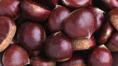 Olgun kestaneler yakın çekim. Tatlı çiğ kestane. Kabuklu kestane. Organik yiyecekler. Yemek arkaplanı. Sağlıklı beslenme. Sağlıklı bir yaşam tarzı. Protein kaynağı. Yukarıdan bak. Yüksek kalite 4k görüntü