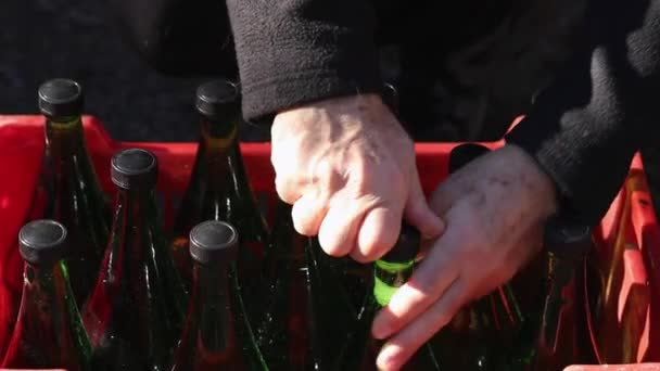 Riempie Bottiglie Vetro Con Acqua Una Fonte Acqua Naturale Montagna — Video Stock
