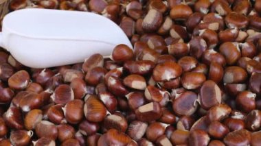 Olgun kestaneler yakın çekim. Tatlı çiğ kestane. Kabuklu kestane. Organik yiyecekler. Yemek arkaplanı. Sağlıklı beslenme. Sağlıklı bir yaşam tarzı. Protein kaynağı. Yukarıdan bak. Yüksek kalite 4k görüntü