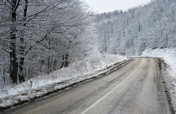  Mountain landscapes in winter with frozen trees and snow                                   