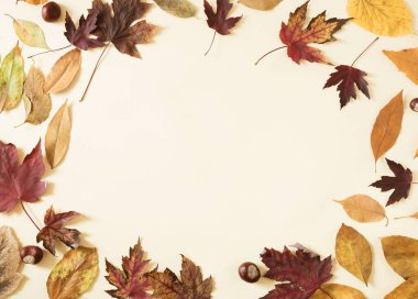 Sonbahar yaprakları ve kestaneler açık sarı arkaplanda fotokopi alanı ile. Minimum yatay düz kompozisyon, sonbahar güzellik konsepti