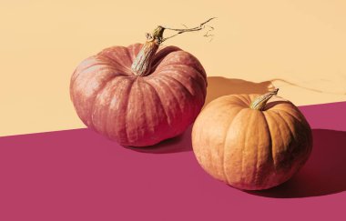 Kırmızı ve sarı arkaplanda balkabakları, asgari sonbahar güzellik kavramı